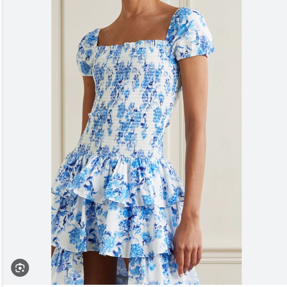 Caroline Constas Malta Gown